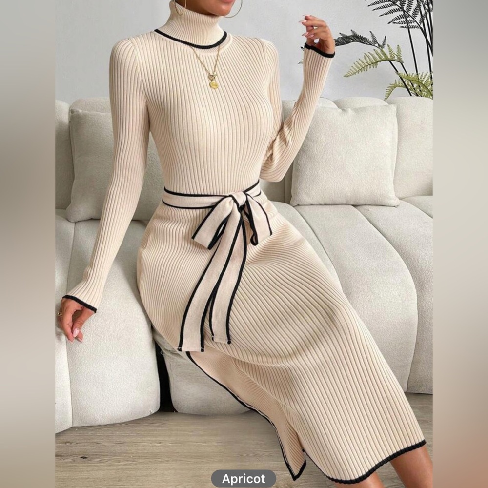 PASSION Contrast Binding Turtleneck Belted Sweater Dress - Picture 14 of 15